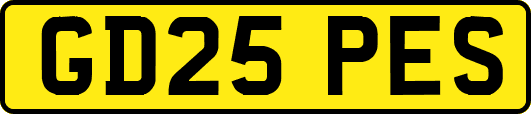 GD25PES