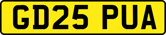 GD25PUA