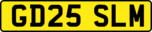 GD25SLM