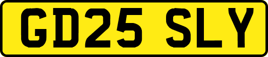 GD25SLY