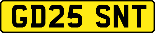 GD25SNT