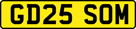 GD25SOM