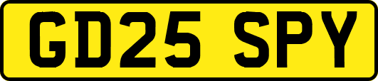 GD25SPY
