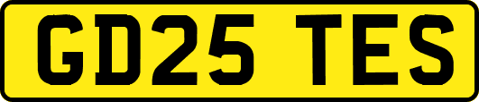 GD25TES