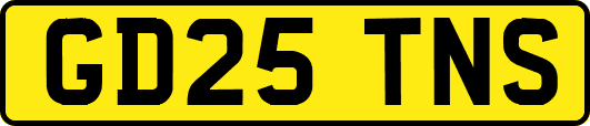 GD25TNS