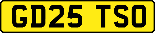 GD25TSO