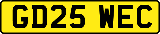 GD25WEC
