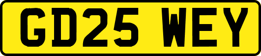 GD25WEY