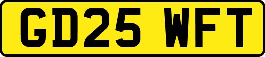 GD25WFT