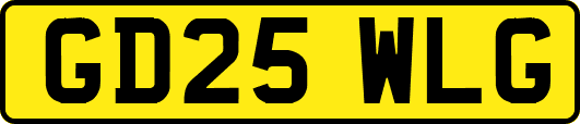 GD25WLG
