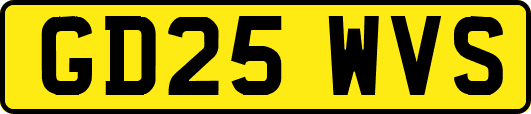 GD25WVS