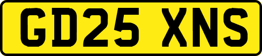 GD25XNS