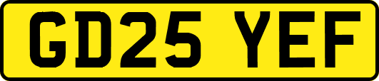 GD25YEF