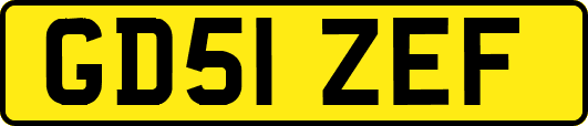 GD51ZEF