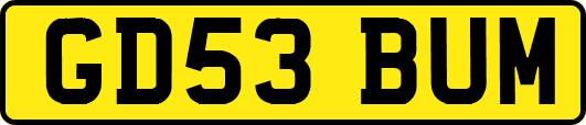 GD53BUM
