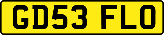 GD53FLO