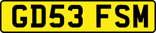GD53FSM
