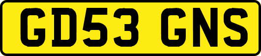 GD53GNS
