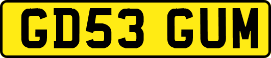 GD53GUM