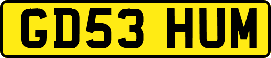 GD53HUM
