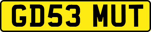GD53MUT