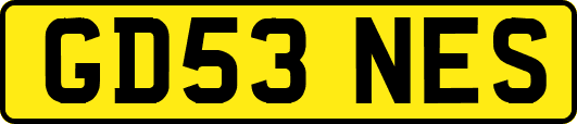 GD53NES