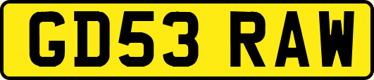 GD53RAW