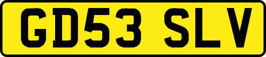 GD53SLV