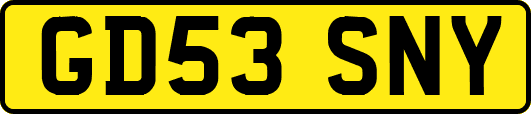 GD53SNY