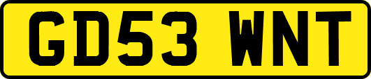 GD53WNT
