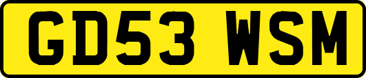 GD53WSM