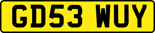 GD53WUY