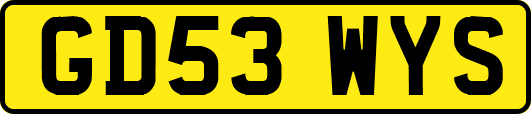 GD53WYS