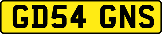 GD54GNS