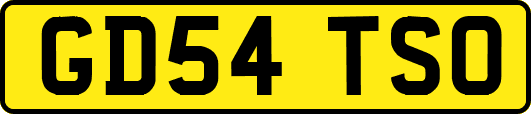 GD54TSO