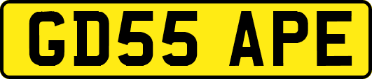 GD55APE