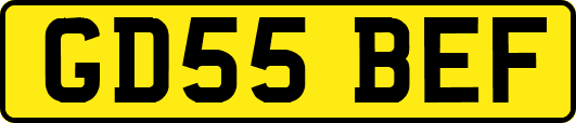 GD55BEF