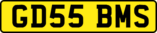 GD55BMS