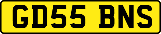 GD55BNS