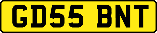 GD55BNT