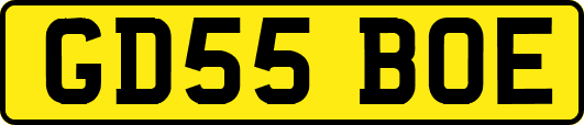 GD55BOE