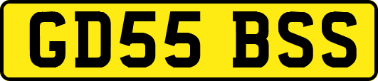 GD55BSS