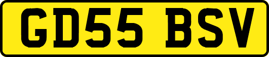 GD55BSV