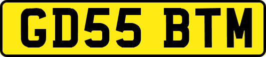 GD55BTM