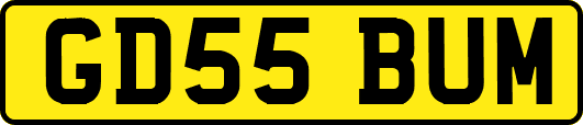 GD55BUM