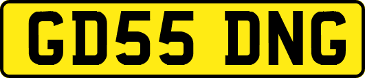 GD55DNG