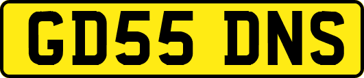 GD55DNS
