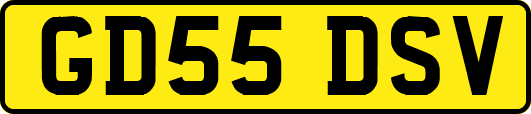 GD55DSV