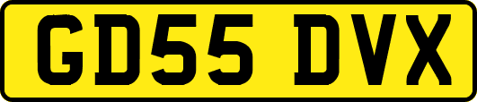 GD55DVX