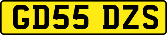 GD55DZS